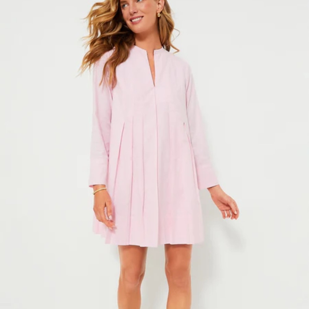 Tuckernuck Light Pink Pleated Mini Dress